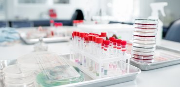 Seznam novih standardov SIST 2025-11